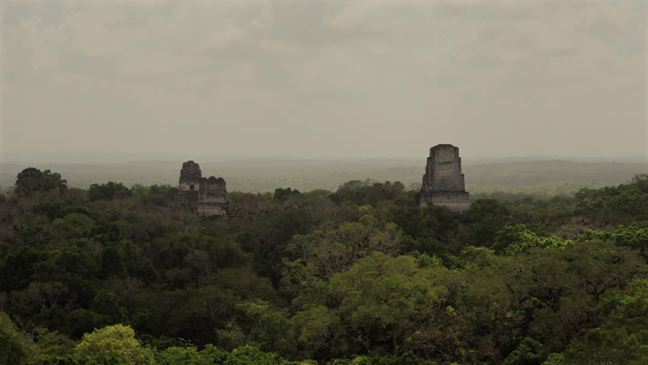 Panning of top of Tikal temples Pyramids in the middle of the forest. View from temple 4. Guatemala