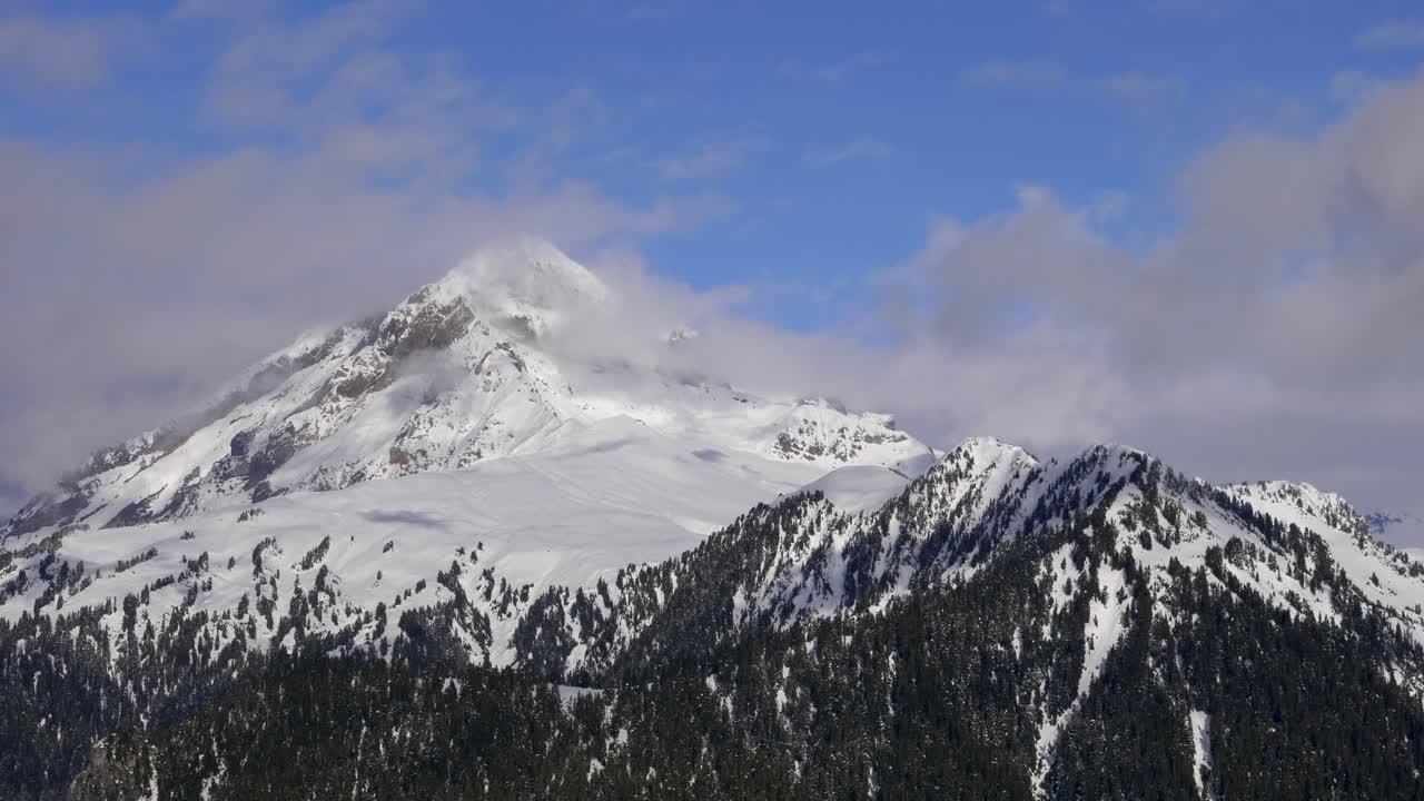 Cime montuose innevate in un parco nazionale con alberi fitti