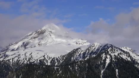 snow-covered mountain peaks in a national park with dense trees