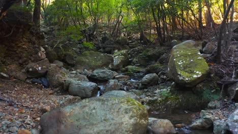 mountain stream in japan forest, mie prefecture 4k