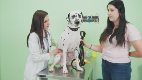 달마티안 개 검사 (dalmatian dog examination)
