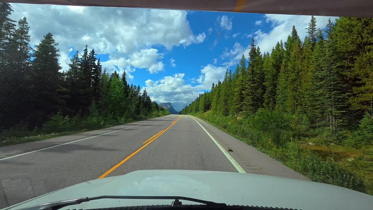 Guidare su una strada panoramica tra alberi e montagne