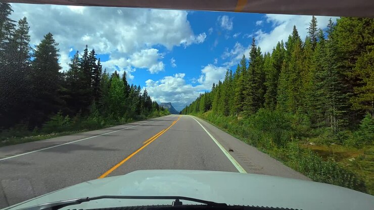 Driving on a scenic road with trees and mountains