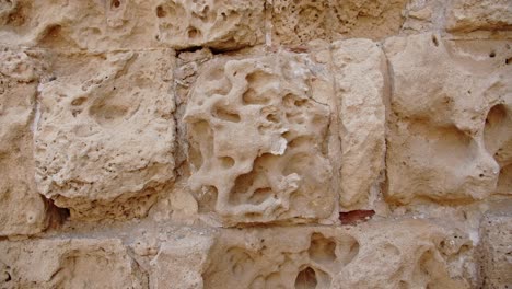 el tiempo tocó los detalles de la pared de piedra caliza en la ciudad de salamis, vista de cerca