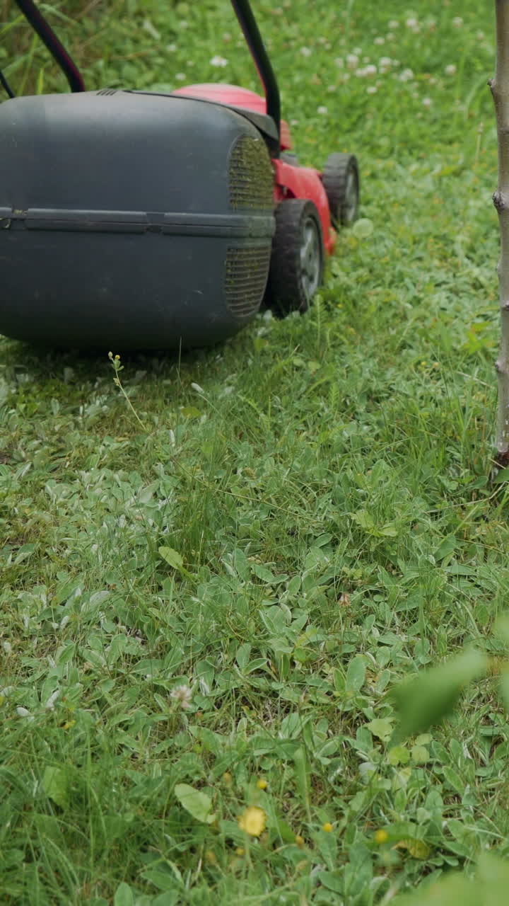 Legs of young woman mowing lawn by lawn mower near country house. Vertical video