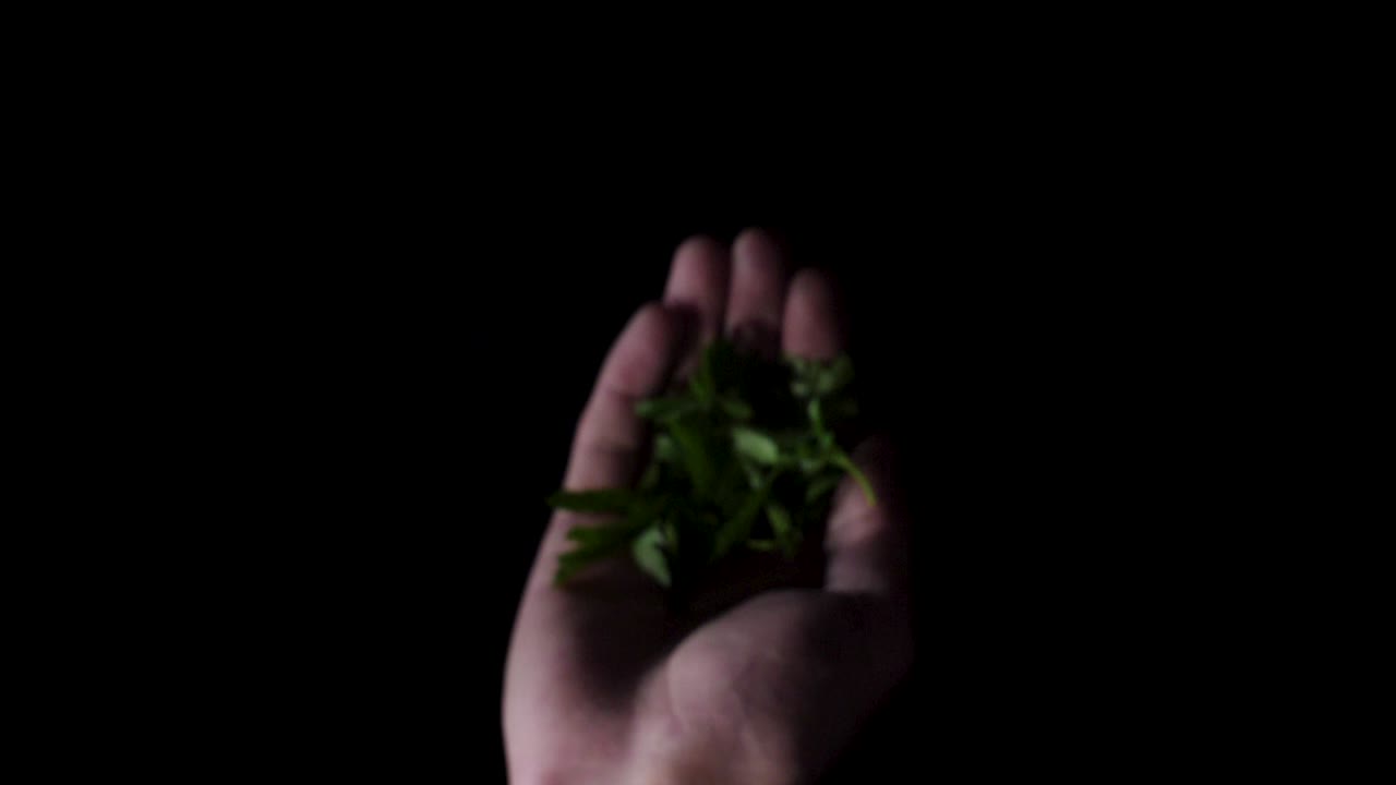 떨어지는 파슬리