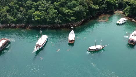 Tropical-island-yachts-trees-ocean