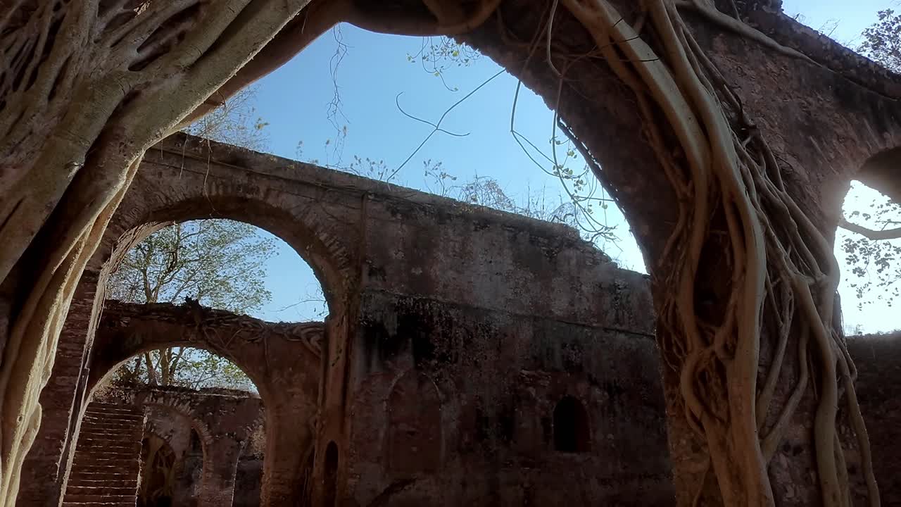 Large, intricate roots embracing the decaying walls and arches of the former Hacienda de San Jacinto Ixtoluca create a captivating scene of nature reclaiming history in Morelos, Mexico