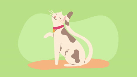 cute cat mascot feline animation