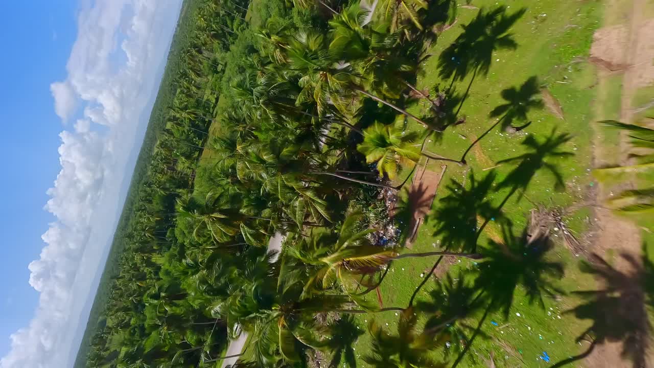 Idyllic Beach And Surroundings In Arroyo Salado, Dominican Republic - aerial FPV