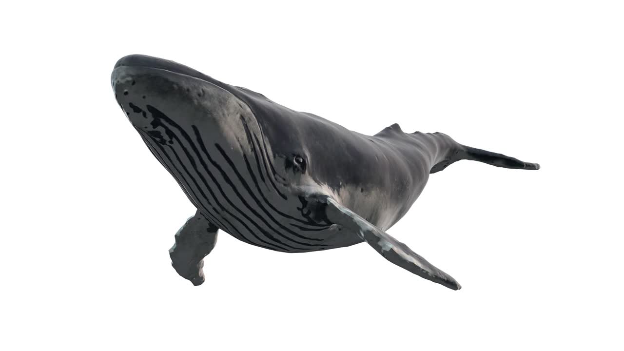 하 배경에 고립 된 수영 파란 고래, 현실적인 3d 디지털 애니메이션.