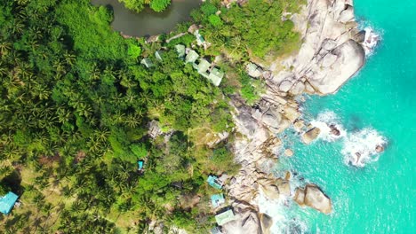 Hermoso-Bosque-De-Palmeras-En-La-Costa-Con-Un-Pequeño-Canal,-Playa-De-Arena-Y-Rocas