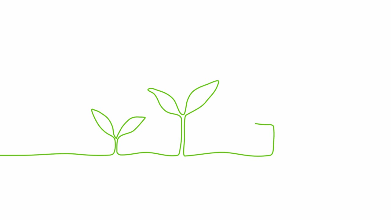 Continuous one line drawing plant germination sequence on white background. Self drawing animation. Hand drawn steps of Growing from seeds Trees, simple design, art. Growth concept. Stepped sprout. 4K