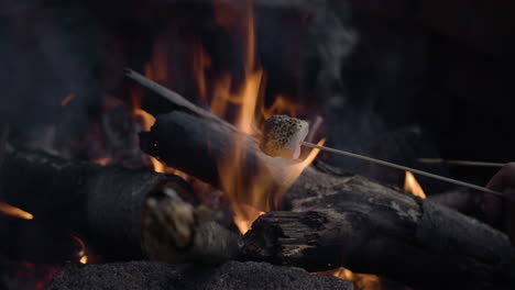 roasting marshmallows in campfire with radiant embers beneath (closeup shot)