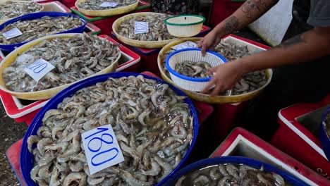 persona que selecciona camarones de varias cestas