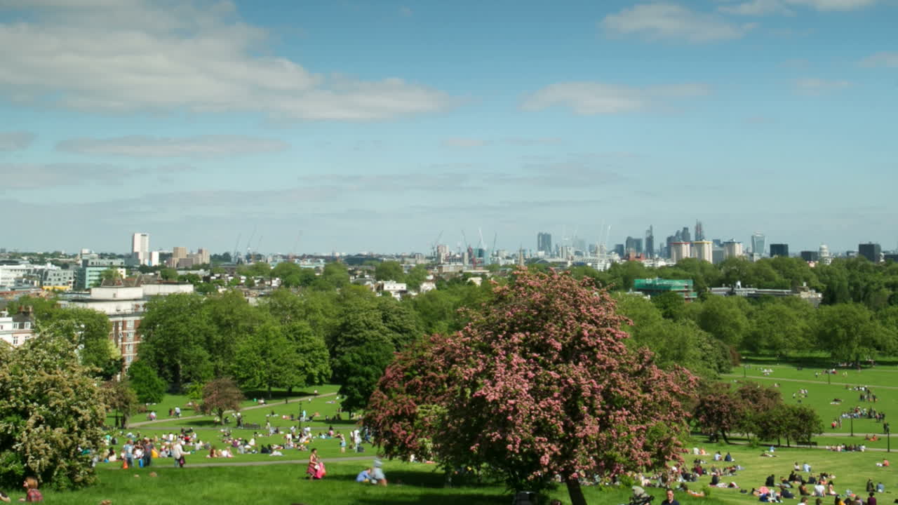 앵초 언덕 사람들 01