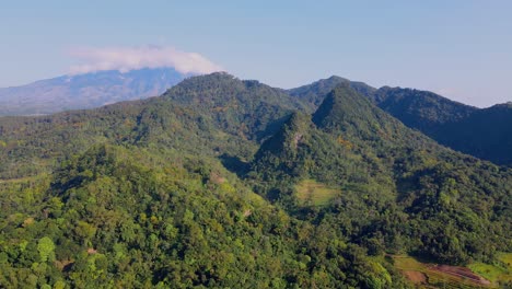 aerial view green tropical forest on hills