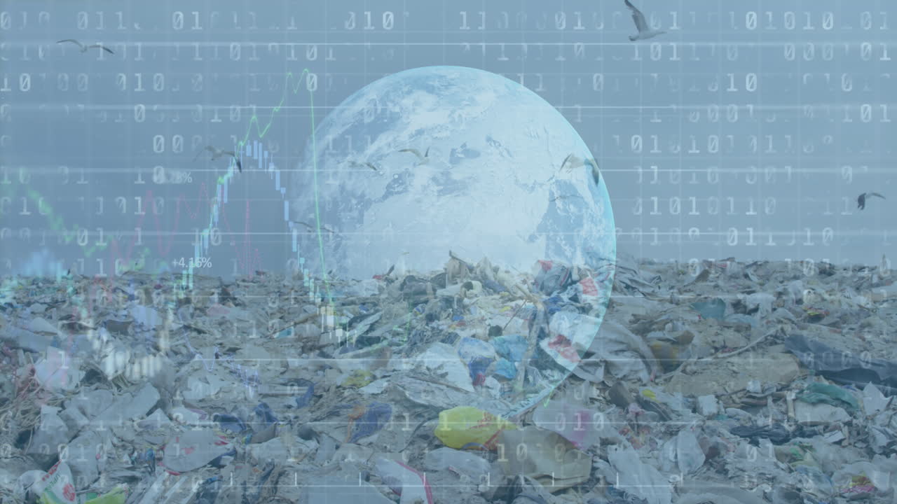 하늘을 날아다니는 새들과 함께 쓰레기 매립장에 대항하여 전 세계에 대한 바이너리 코딩과 금융 데이터 처리