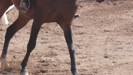 Close-up-De-Patas-De-Caballo-Compitiendo-En-Doma,-Disciplina-Olímpica