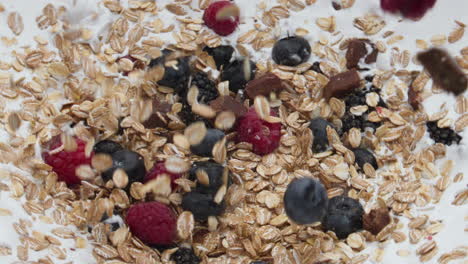 nutrient muesli fresh yogurt with juicy berries close up. healthy lifestyle.