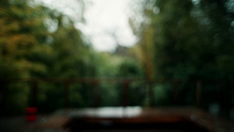 blurred rainy day forest view from a wooden deck