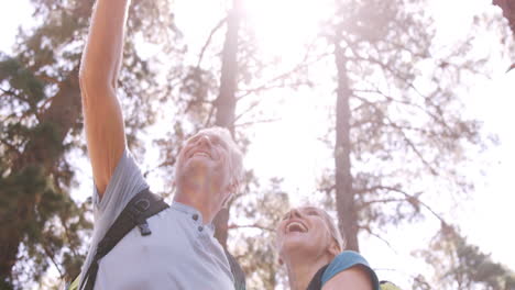 Hiker-couple-standing-and-pointing-away-in-forest