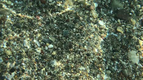 underwater sand and pebbles background