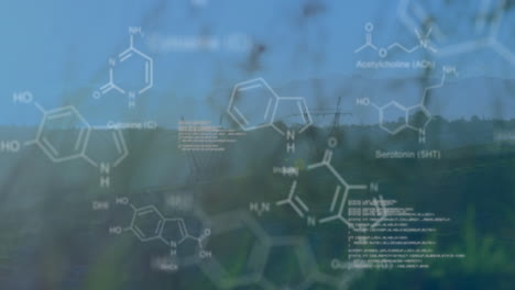 digital animation merges chemistry, code, and nature at sunset.