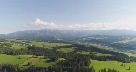 flying over the beautiful forest trees landscape panorama 48