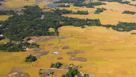 Rural-agricultural-land-in-Bangladesh-Aerial-view