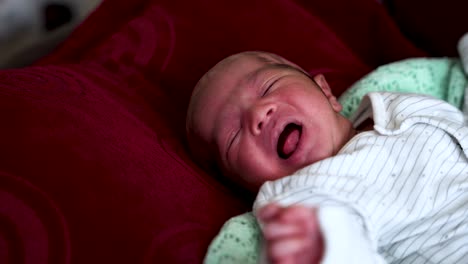 Asian-Indian-Newborn-Baby-Moving-While-Lying-On-His-Back-On-A-Bed