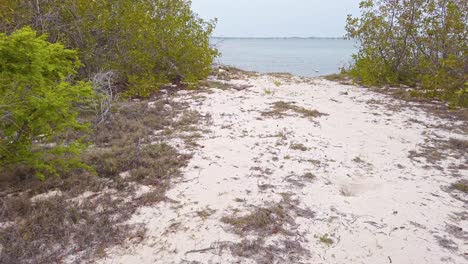 first-person view walking on corbanitos beach towards sea, peravia in dominican republic