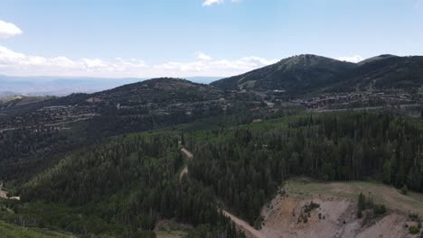 Aerial-Moving-shot-of-tree-groves-in-forest