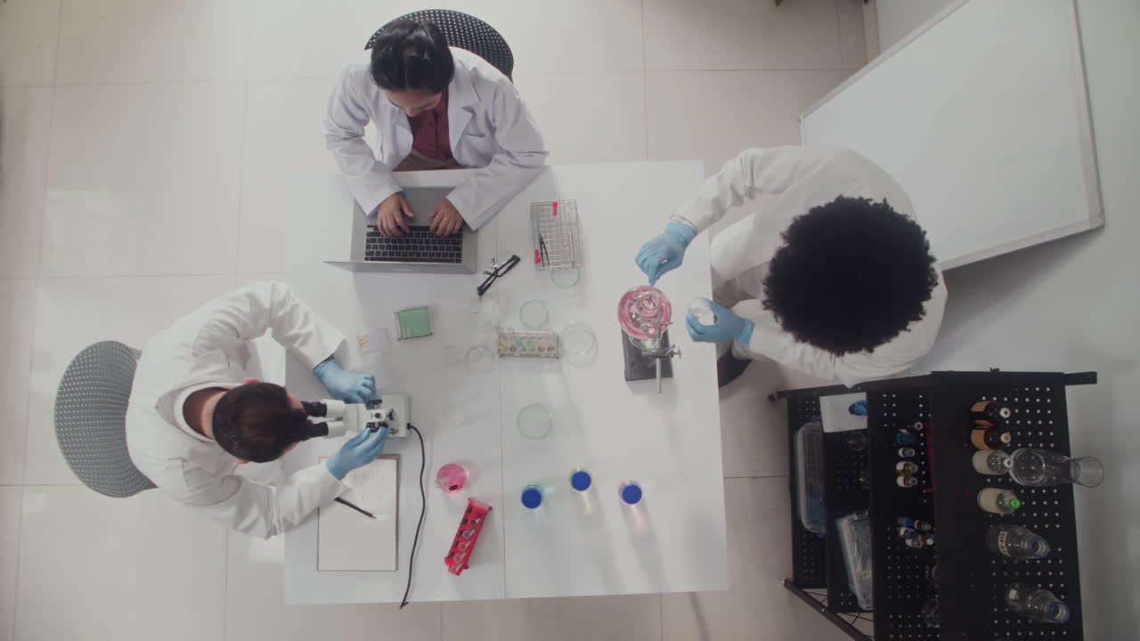 Multicultural Chemists Working at Laboratory Top View
