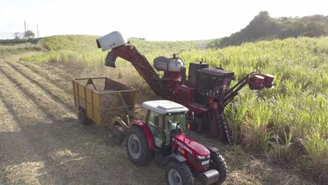 efficient farming machinery harvesting sugar cane on northern barbados