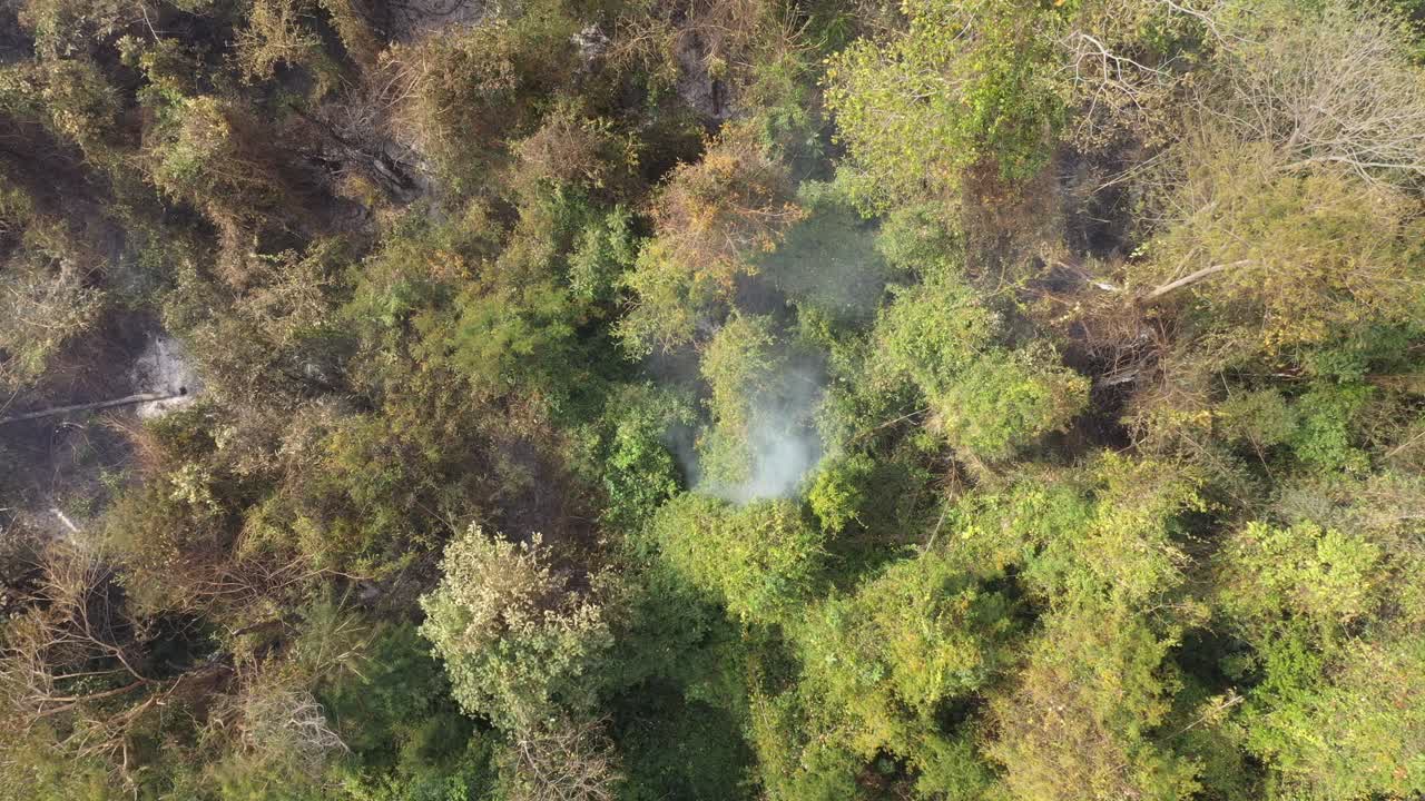 humo y vegetación quemada cerca del área verde tiro de drones