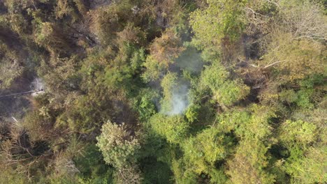 Smoke-and-burnt-vegetation-near-green-area-drone-shot