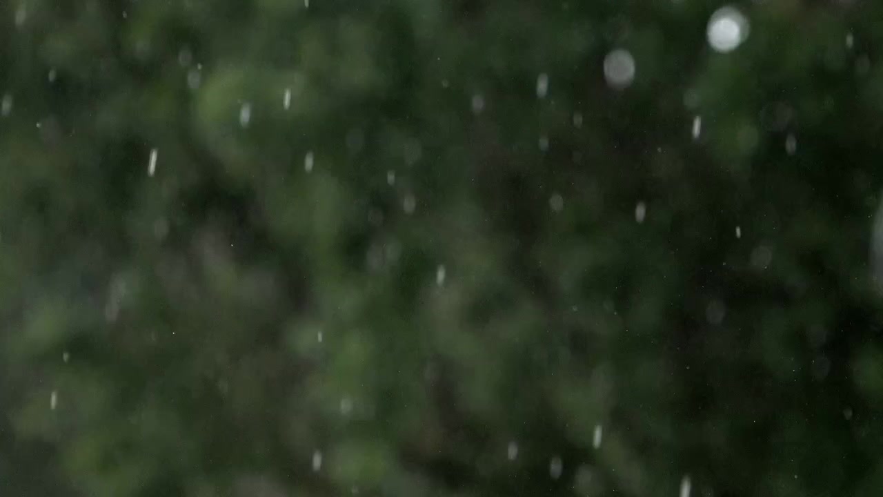 Regnen falder tungt foran grønne blade på et træ under en storm.