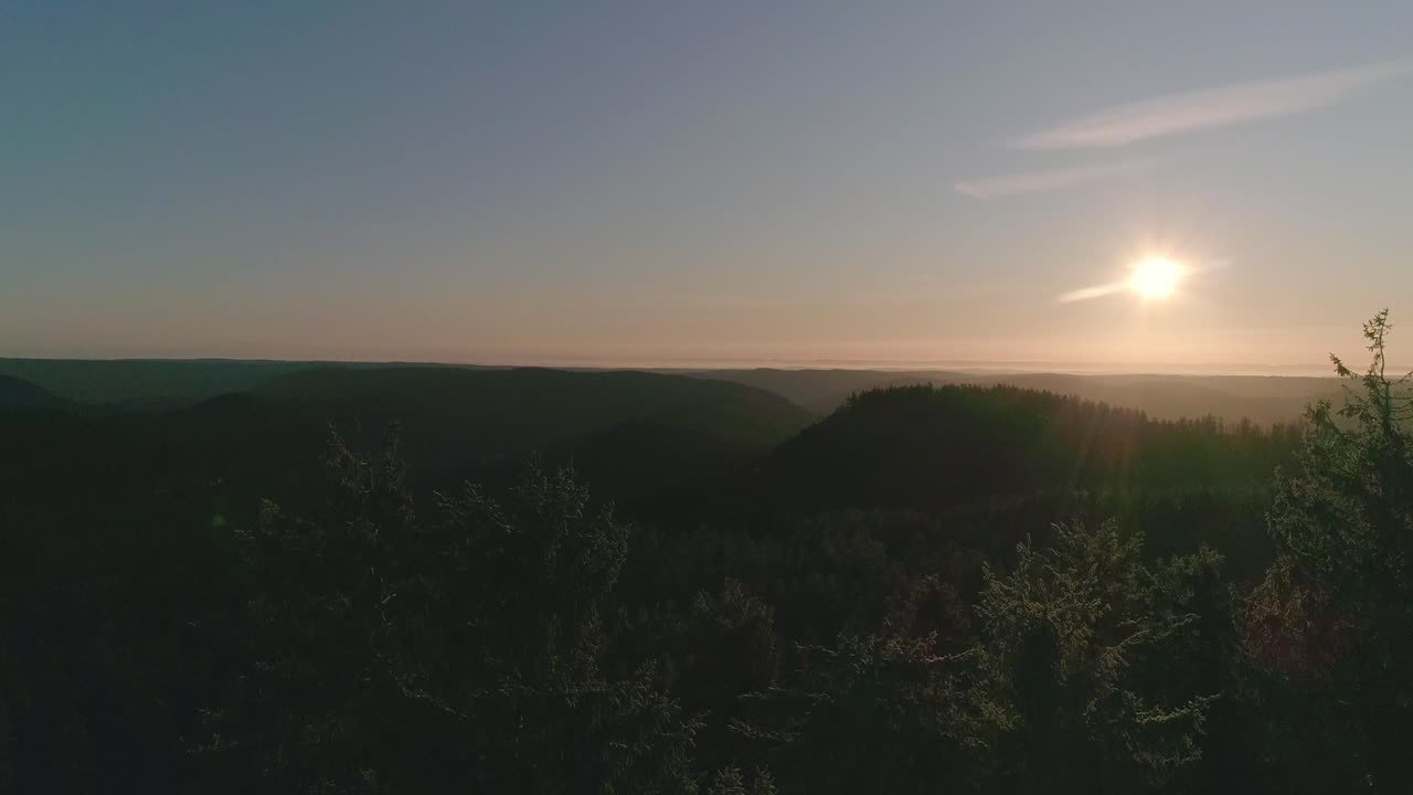 hermoso amanecer matutino sobre el bosque revela detrás de los árboles - antena
