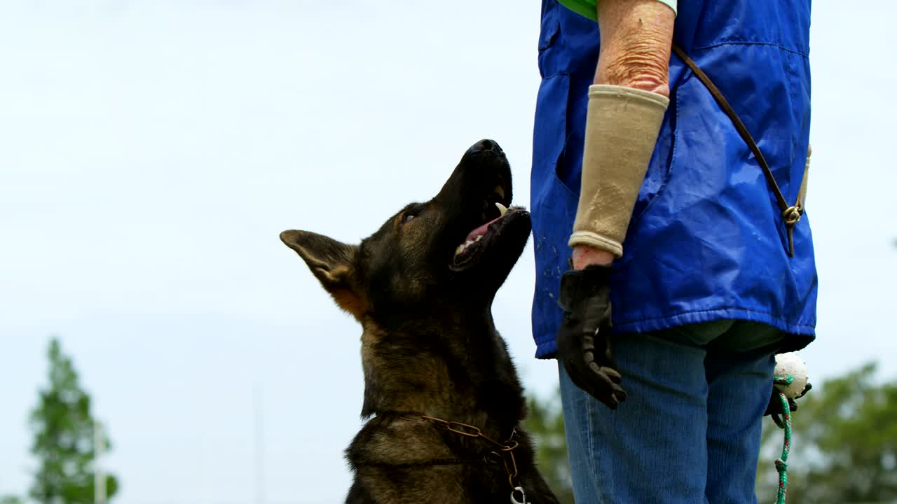 Schäferhund mit seinem Besitzer auf dem Bauernhof 4k