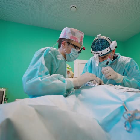 doctors save patient's life in clinic. surgeons work with medical instruments in the operating room. medical specialists in uniform with masks perform a surgery.
