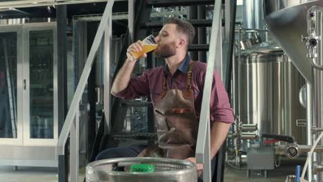 young brewer wearing a leather apron is tasting beer at a modern brewery