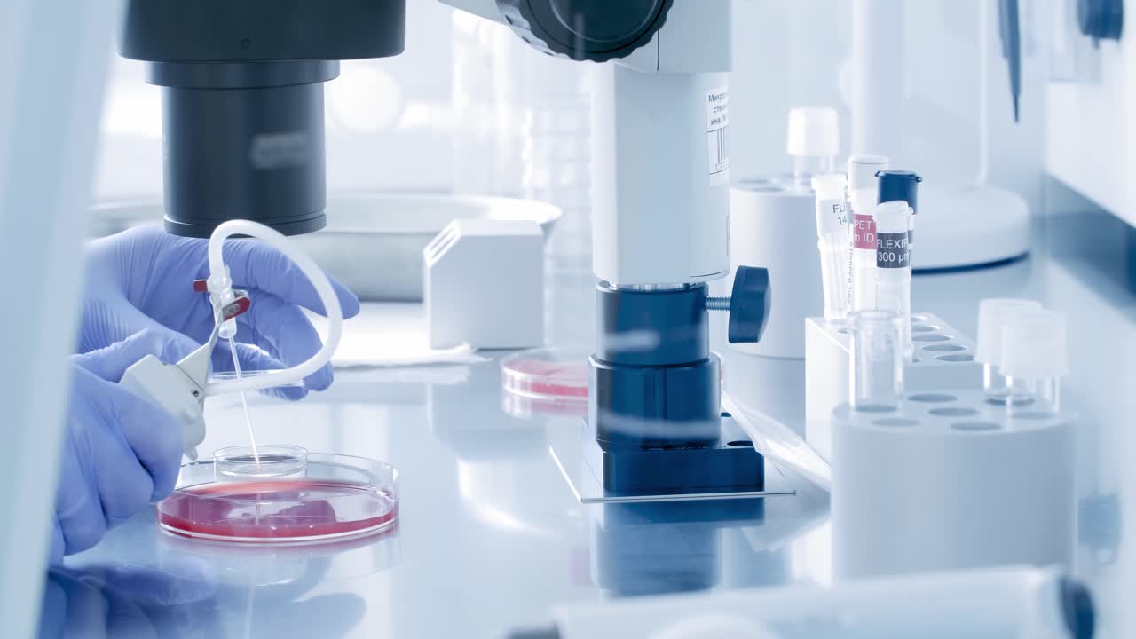 Scientist performing a lab experiment using a microscope and petri dish