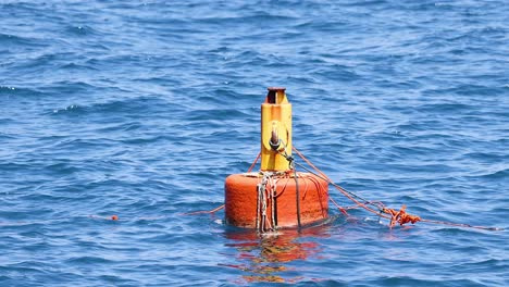 buoy floating and swaying in the ocean