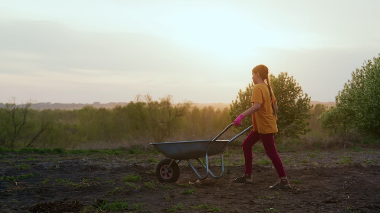 Young girl pushes wheelbarrow across open field at sunset. She wears bright yellow shirt and red pants. Scene shows peaceful rural labor during golden hour. Ideal for gardening, agriculture