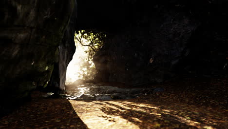 sunlight streaming through a cave entrance in a forest