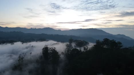 panorámica aérea con drones disparada sobre el pico little adams en sri lanka en una mañana nublada