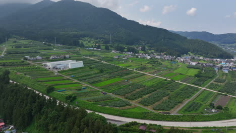 aerial view toward rice fields and plantations, summer in yamanochi, nagano, japan