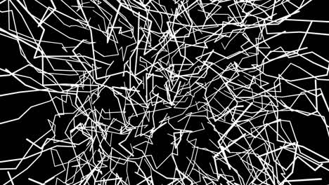 linee bianche che si muovono lentamente su uno sfondo nero.