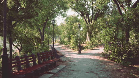 escena del parque con bancos y camino